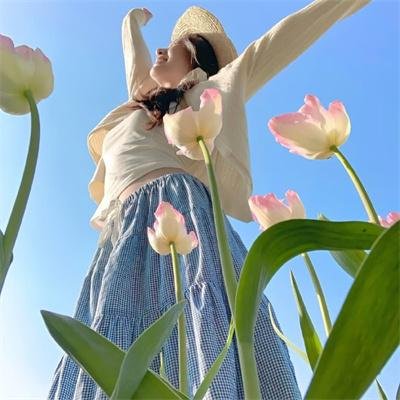 漫画爆高墙